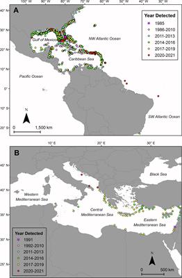 Lessons From the Western Atlantic Lionfish Invasion to Inform Management in the Mediterranean
